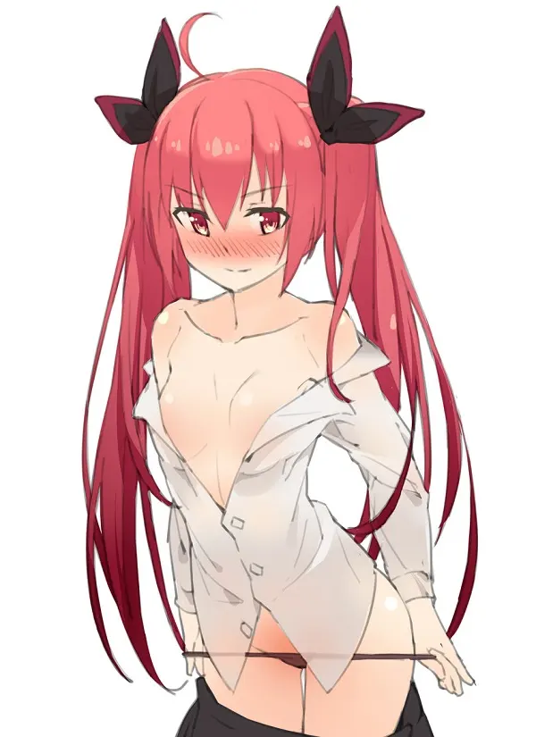 anh itsuka kotori