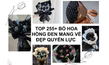 anh dai dien bo hoa hong den 1 369x235 1