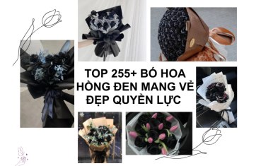Top 155+ bó hoa Hồng Đen Biểu Tượng Huyền Bí Của Tình Yêu Và Sự Bí Ẩn 1 anh dai dien bo hoa hong den 1 369x235 1