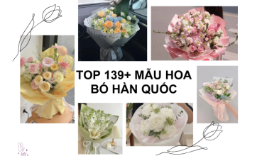 anh dai dien hoa bo han quoc 369x235 1