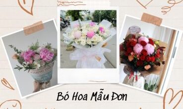 bo hoa mau don dep 369x235 1