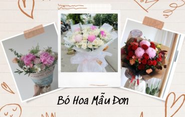 200+ mẫu bó hoa mẫu đơn đẹp nhất, sang trọng, nhiều may mắn 1 bo hoa mau don dep 369x235 1