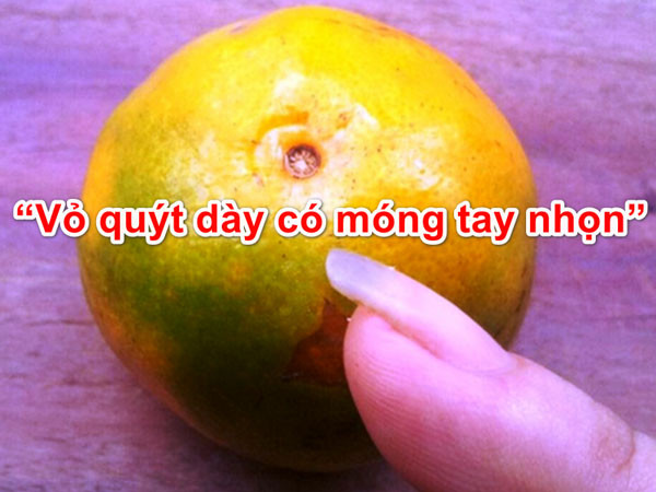Bài học từ sự kiêu ngạo của Vỏ quýt dày