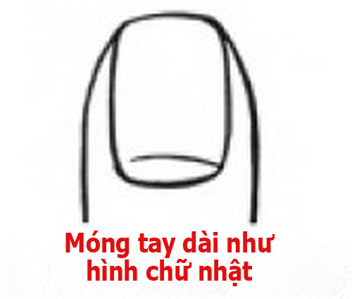 Bàn tay với móng tay dài hình chữ nhật được sơn màu trung tính