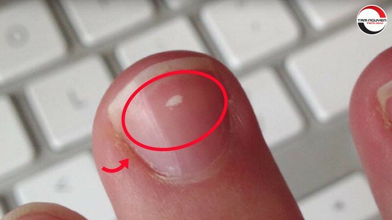 bói hạt gạo trên móng tay