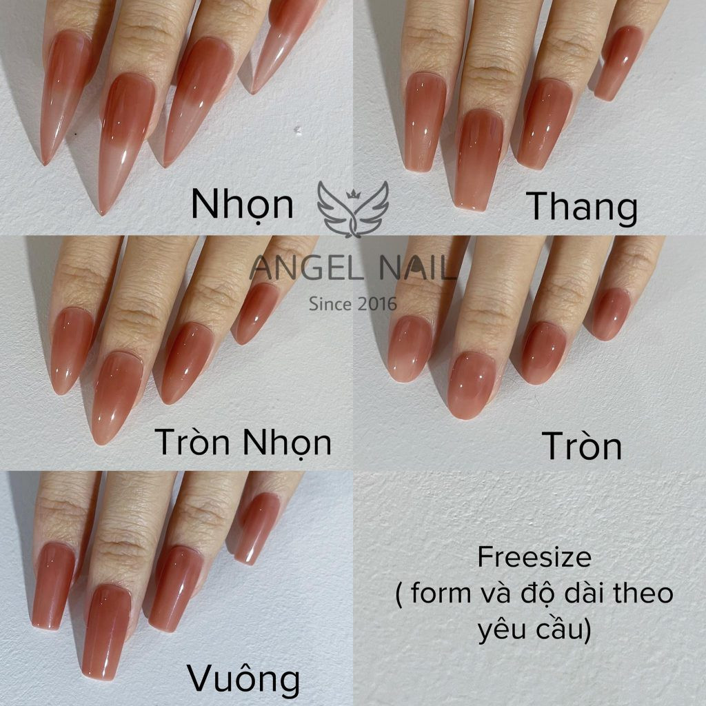 Các form móng phổ biến cho nail box móng tay giả đẹp cho học sinh
