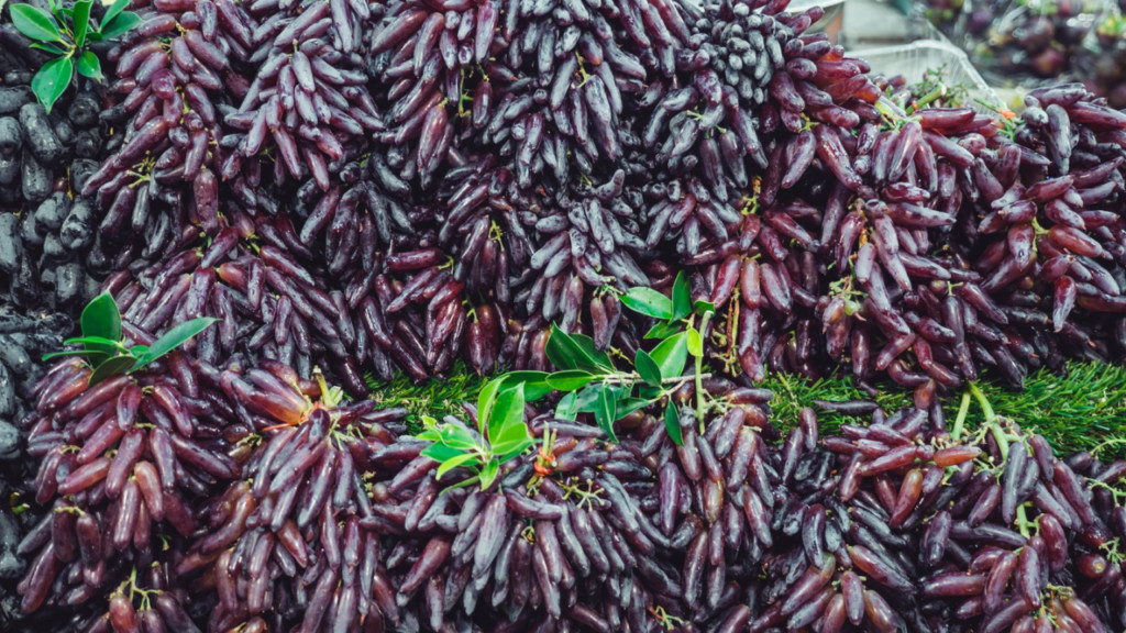 Cận cảnh những quả nho đen móng tay mọng nước, tượng trưng cho giá trị dinh dưỡng cao