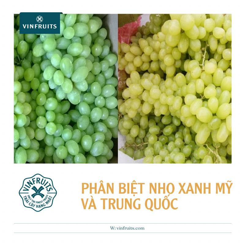 Chùm nho xanh tươi mát, tượng trưng cho sự tươi mới, có thể là điểm nhấn màu sắc cho các chi tiết lá trong thiết kế nho đen móng tay trung quốc