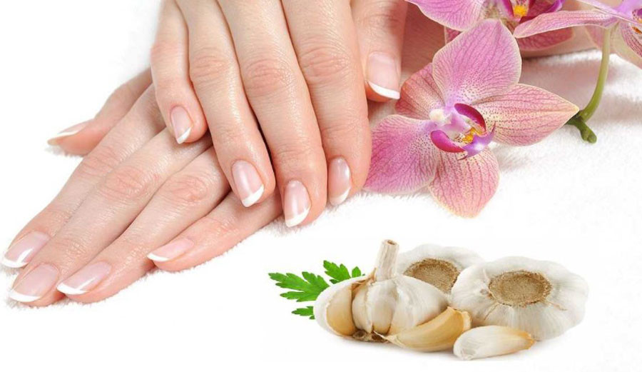 Dùng tỏi tươi để làm cứng móng tay và kích thích mọc dài