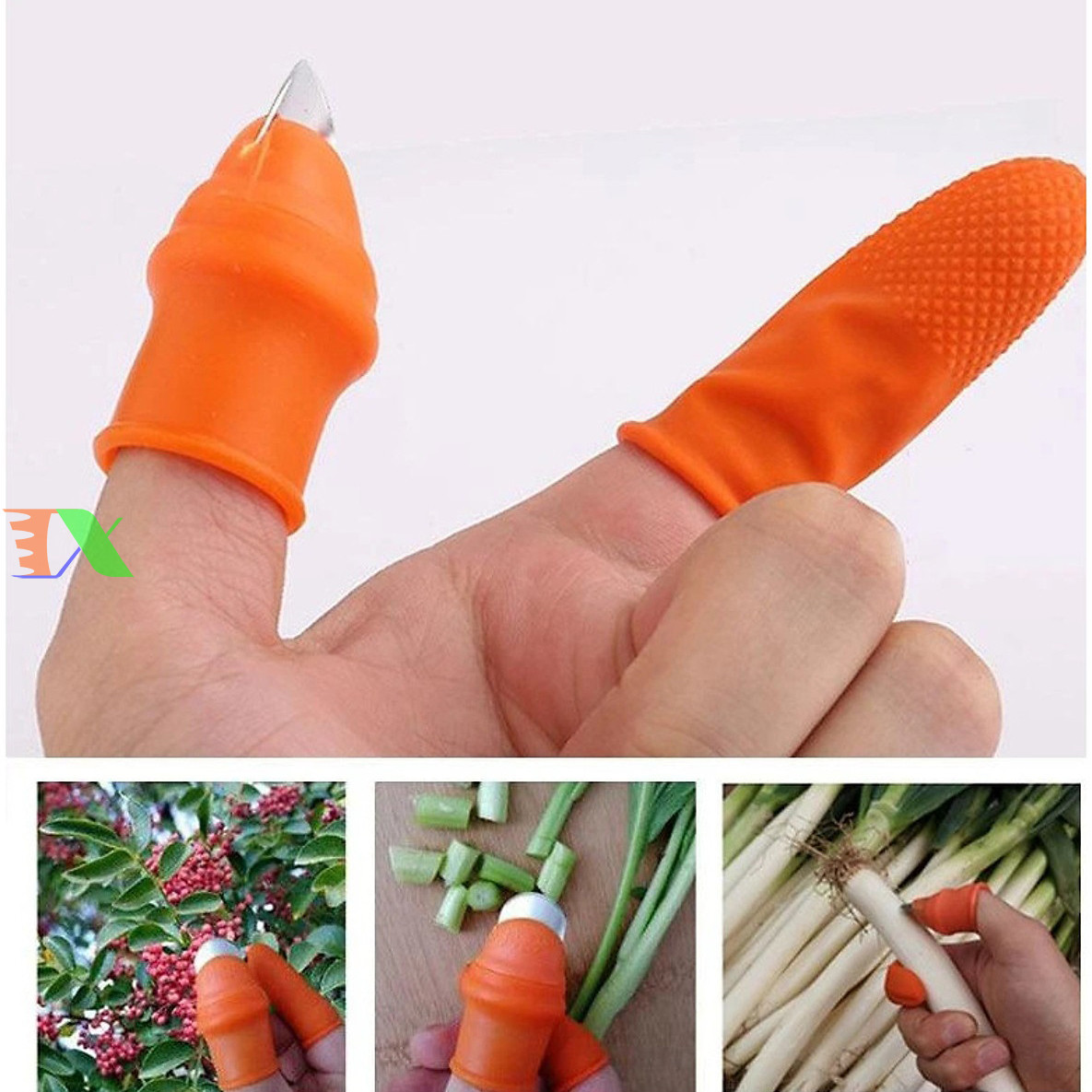 Hình ảnh minh họa móng tay hái rau đang thu hoạch củ quả