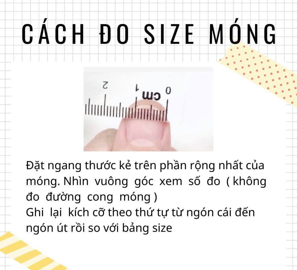 Hướng dẫn đo size móng tay cho nail box móng tay giả đẹp cho học sinh