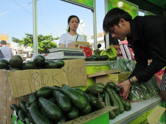 Khám Phá Trái Bơ Móng Tay: Độc Đáo và Tiềm Năng