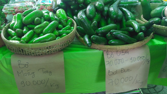 Khám Phá Trái Bơ Móng Tay: Độc Đáo và Tiềm Năng