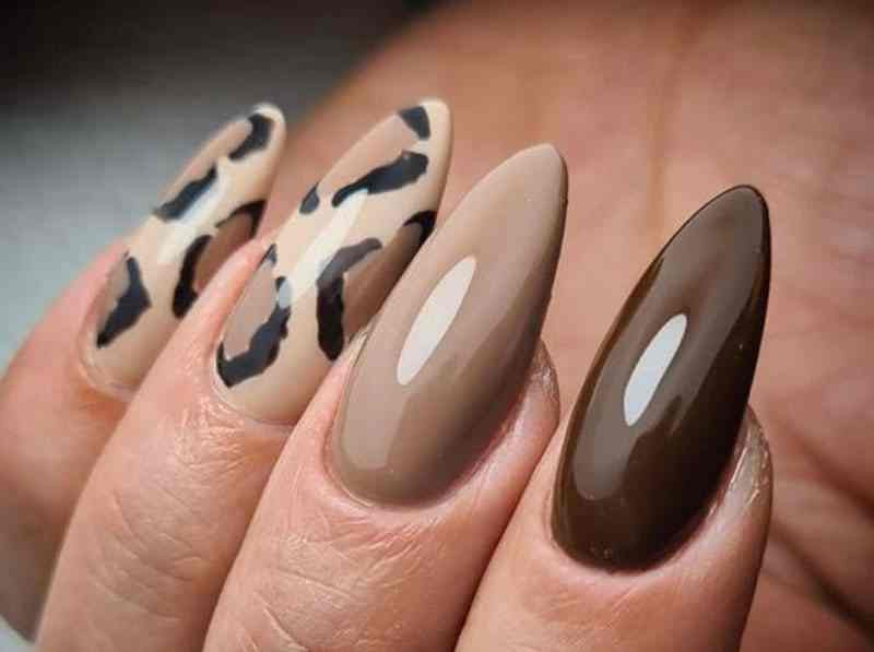 Mẫu móng tay da beo thanh lịch kết hợp màu nude hiện đại