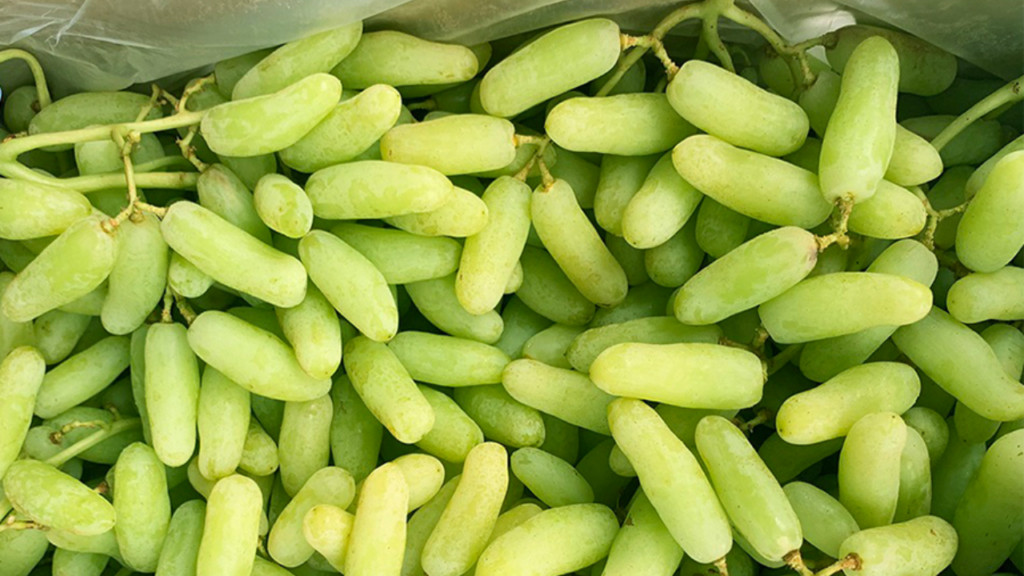 Móng tay màu xanh ngọc bích