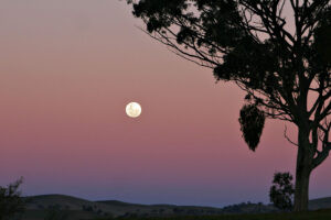 Đầu Năm Có Nên Cắt Móng Tay Không? Giải Mã Quan Niệm Từ Ảnh Nail Một bộ móng tay sạch đẹp, được cắt tỉa gọn gàng