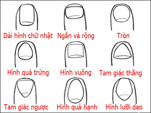 Người phụ nữ với bàn tay và móng tay được chăm sóc tỉ mỉ