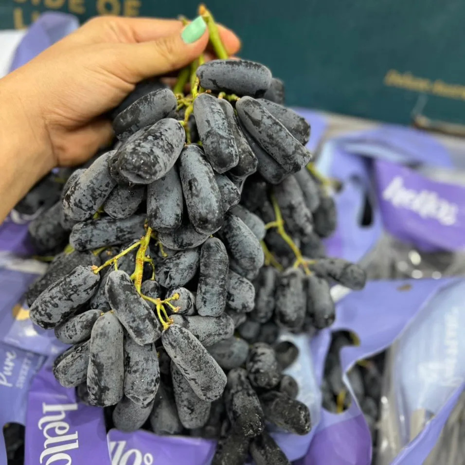 Khám phá hương vị độc đáo của **nho móng tay Úc** Nho ở Úc có mùa vụ từ tháng 2 đến tháng 5