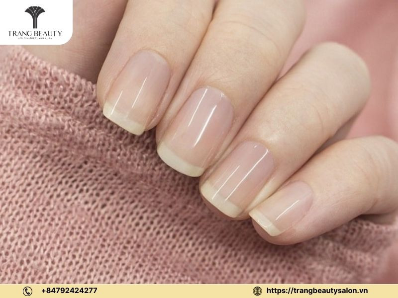 Sơn phủ bóng để chuẩn bị làm móng tay xà cừ
