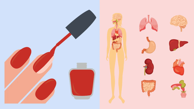 Thành phần hóa học cần lưu ý khi chọn sản phẩm sơn móng tay gel trong suốt chất lượng.
