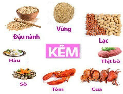 Thực phẩm giàu kẽm bổ dưỡng cho sức khỏe và móng tay